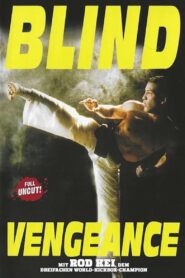 Blind Vengeance 1994 one on netflix