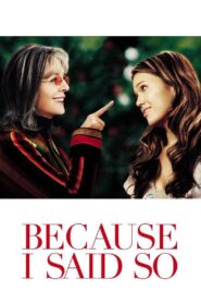 Because I Said So 2007 one on netflix