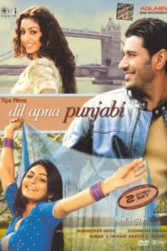 Dil Apna Punjabi 2006 one on netflix