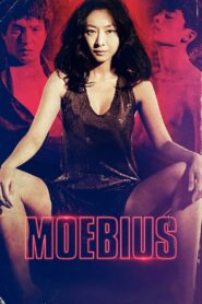 Moebius 2013 one on netflix