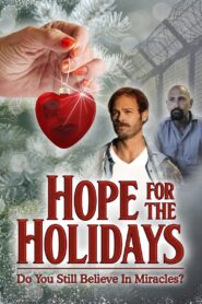 Hope For The Holidays 2020 one on netflix