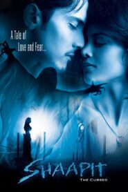 Shaapit 2010 one on netflix
