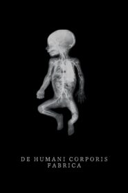 De Humani Corporis Fabrica 2023 one on netflix