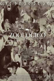 Zoológico 2013 one on netflix
