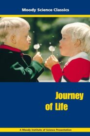 Journey of Life 1998 one on netflix