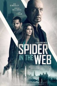 Spider in the Web 2019 one on netflix