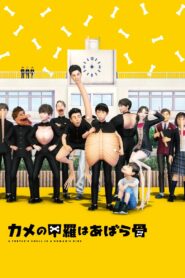 A Turtle’s Shell is a Human’s Ribs 2022 one on netflix