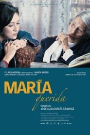 María querida 2004 one on netflix