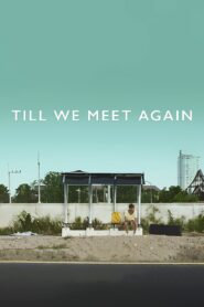 Till We Meet Again 2016 one on netflix
