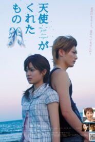The Gift from Heaven 2007 one on netflix