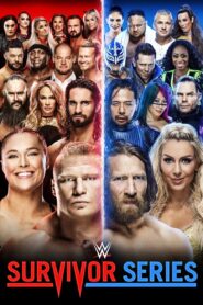 WWE Survivor Series 2018 2018 one on netflix