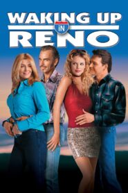 Waking Up in Reno 2002 one on netflix