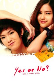 Yes or No 2010 one on netflix