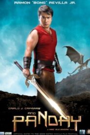 Ang Panday 2009 one on netflix