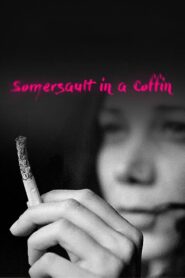 Somersault in a Coffin 1996 one on netflix
