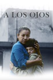 Through the Eyes 2013 one on netflix