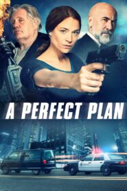 A Perfect Plan 2020 one on netflix