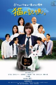 Itoshima Movie: Cat’s Memory 2022 one on netflix