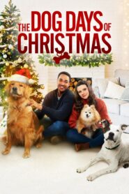 The Dog Days of Christmas 2022 one on netflix