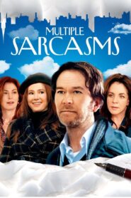 Multiple Sarcasms 2010 one on netflix