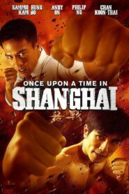 Once Upon a Time in Shanghai 2014 one on netflix