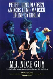 Mr. Nice Guy 2005 one on netflix