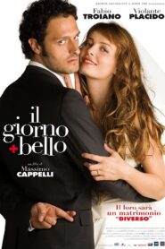 Any Reason Not to Marry? 2006 one on netflix