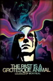 The Past Is a Grotesque Animal 2014 one on netflix