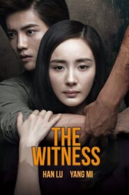 The Witness 2015 one on netflix