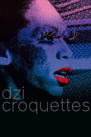 Dzi Croquettes 2009 one on netflix