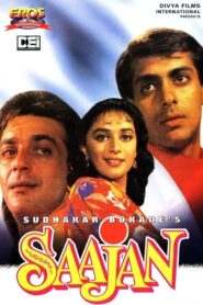 Saajan 1991 one on netflix