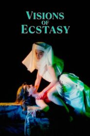 Visions of Ecstasy 1989 one on netflix