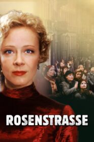 Rosenstrasse 2003 one on netflix