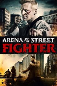 Arena of the Street Fighter 2012 one on netflix