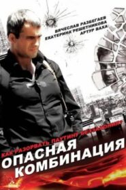 Dangerous Combination 2008 one on netflix