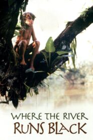 Where the River Runs Black 1986 one on netflix