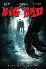 Big Bad 2016 one on netflix