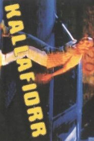 Kallafiorr 2000 one on netflix
