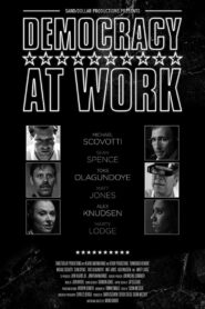 Democracy at Work 2012 one on netflix