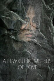 A Few Cubic Meters of Love 2014 one on netflix