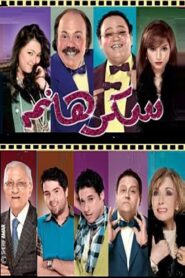 Lady Sukkar 2010 one on netflix
