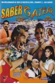 Saber gatear 1995 one on netflix