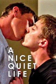 A Nice Quiet Life 2018 one on netflix
