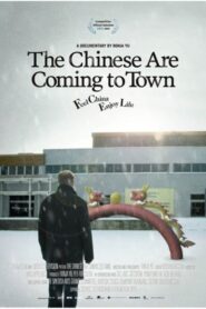 The Chinese Are Coming to Town 2011 one on netflix