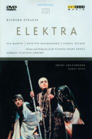 Elektra 1989 one on netflix