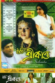 Iti Srikanta 2004 one on netflix