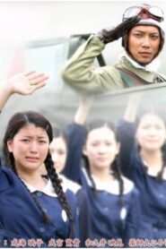 Nadeshiko Tai 2008 one on netflix