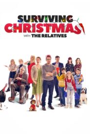 Surviving Christmas with the Relatives 2018 one on netflix