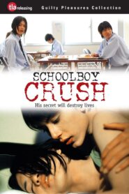 Schoolboy Crush 2007 one on netflix
