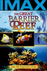 Great Barrier Reef 1981 one on netflix